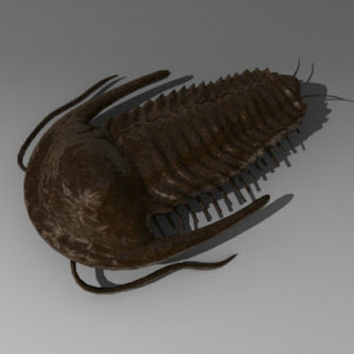 J'imagine qu'il y a une blague vaseuse à faire avec « trilobite », mais ceci est un blog culturel et je ne voudrais pas choquer mes lecteurs