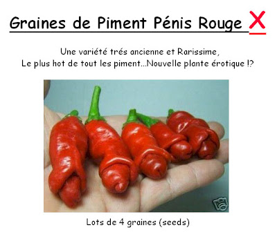 Graines piment pénis rouge