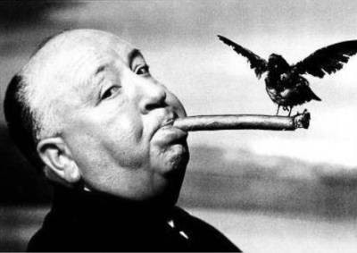 Hitchcock fume un oiseau