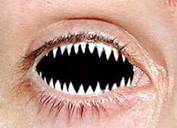 Jaws Lentille Jaws