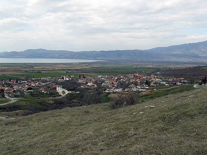 [Amaranta_apo_lofo2.JPG]