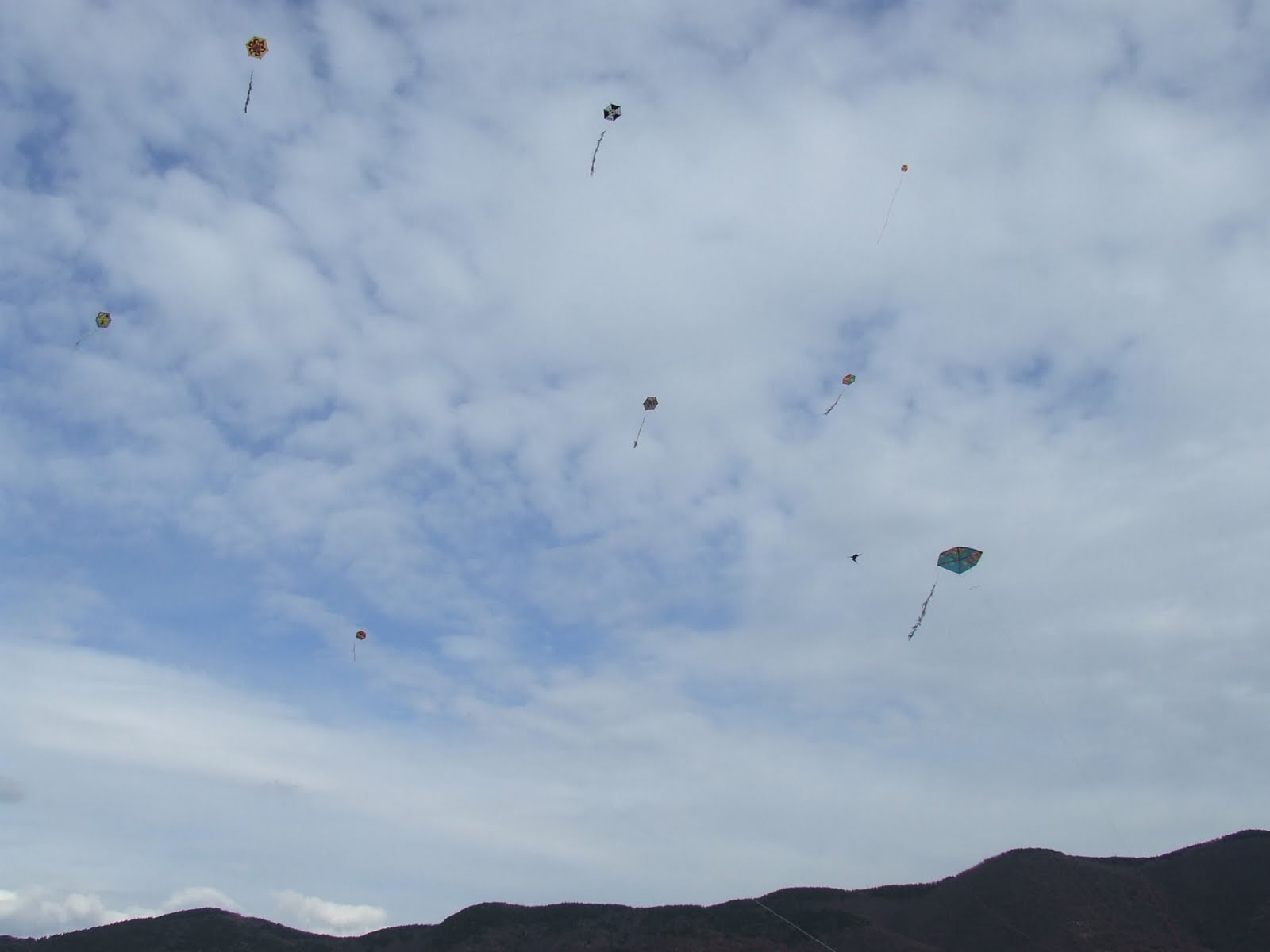 [KathDeft2009-xartaet2.JPG]