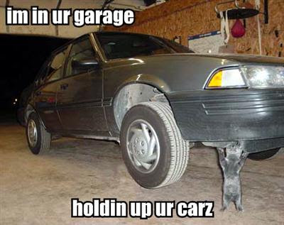 Funny Stuff Thread - Page 2 Lolcats+3