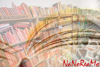 NaNoReaMo 2007