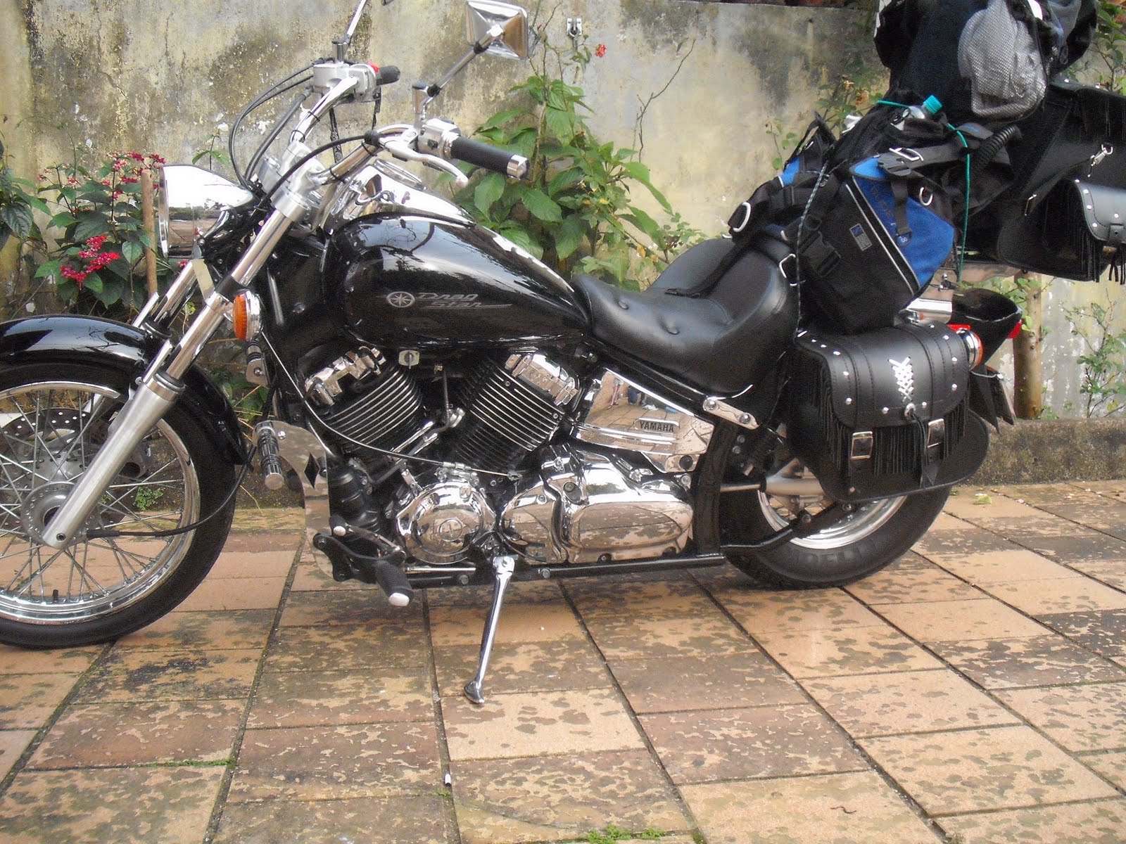 [DSCF3468.JPG]