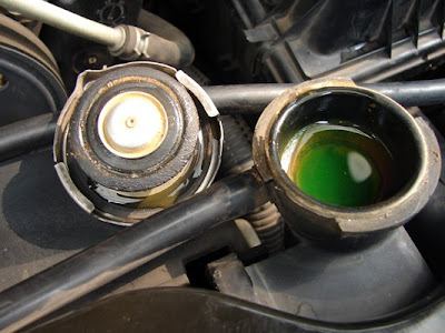 Radiator Fluid Color