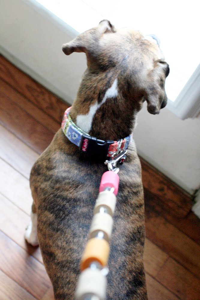 olive bites studio home of cat ivins and the polarity locket Upcycled