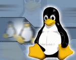 [linux.jpeg]