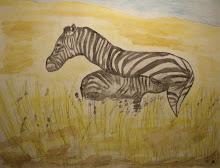 Zebra With Baby