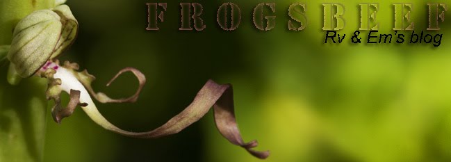 Frogsbeef