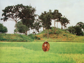 picture of bangladesh