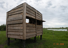 Mirador de Aves