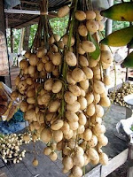 25 Buah Langka Dari Kalimantan r 25 Buah Langka Dari Kalimantan