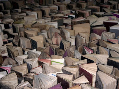 Mar de libros