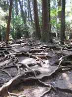 En la cima del Monte Kurama