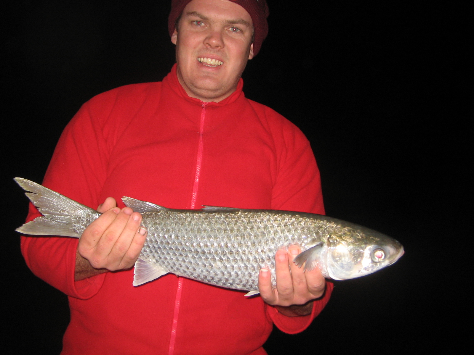 Giant Mullet