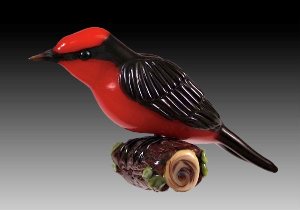 [Vermilion+Flycatcher-small.jpg]