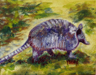 Texas armadillo wildlife landscape