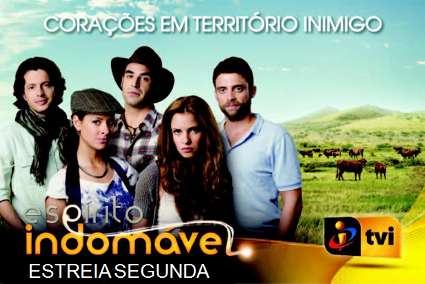 TVI+Blog+2010.png