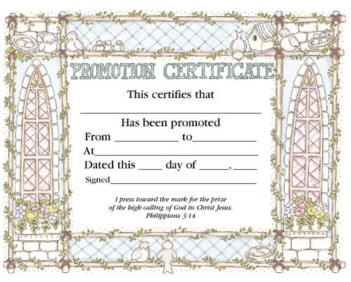amazon promotional certificate balance