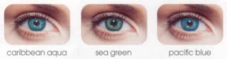 Freshlook Dimensions