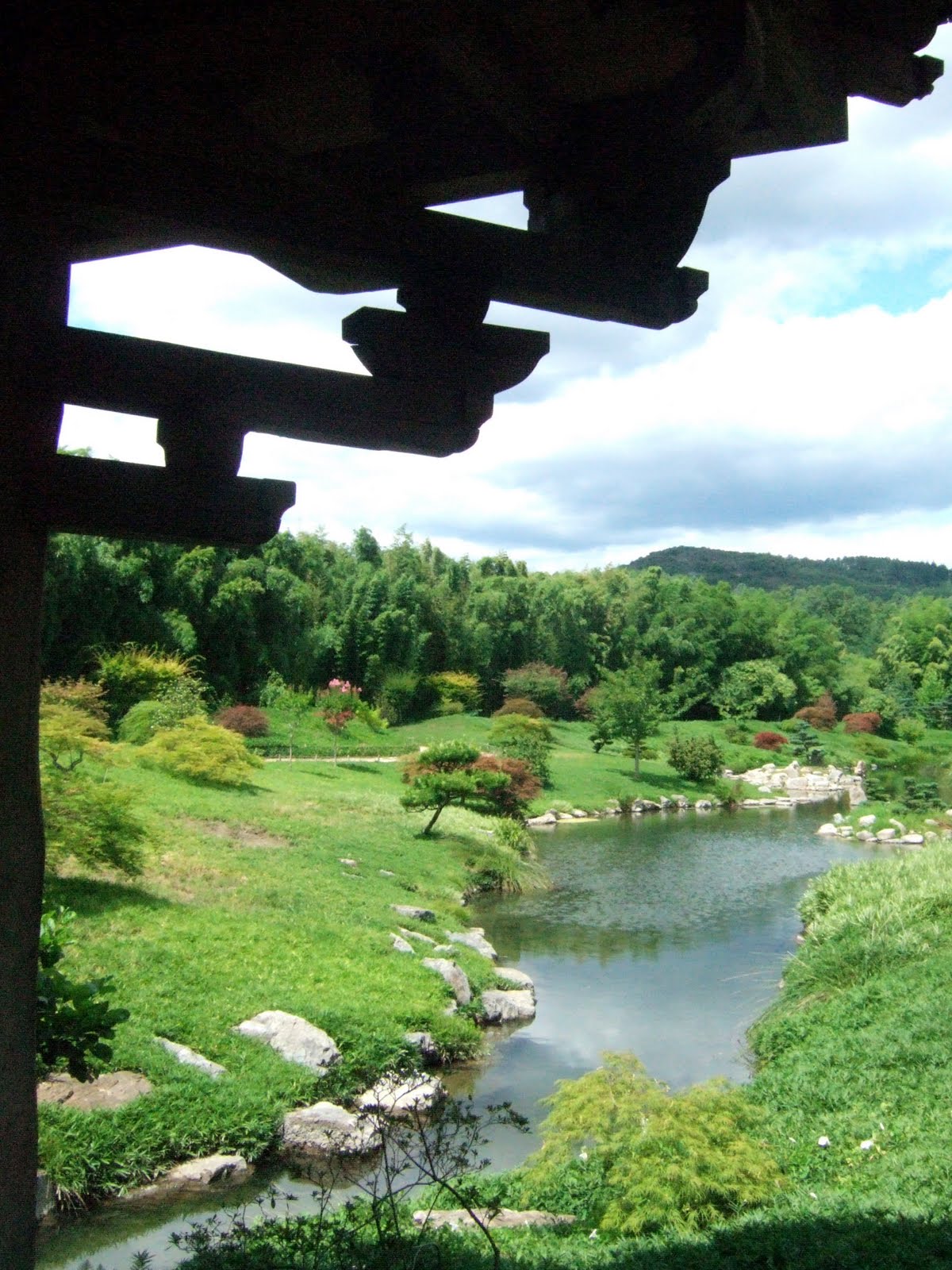 [DSCF0136.JPG]