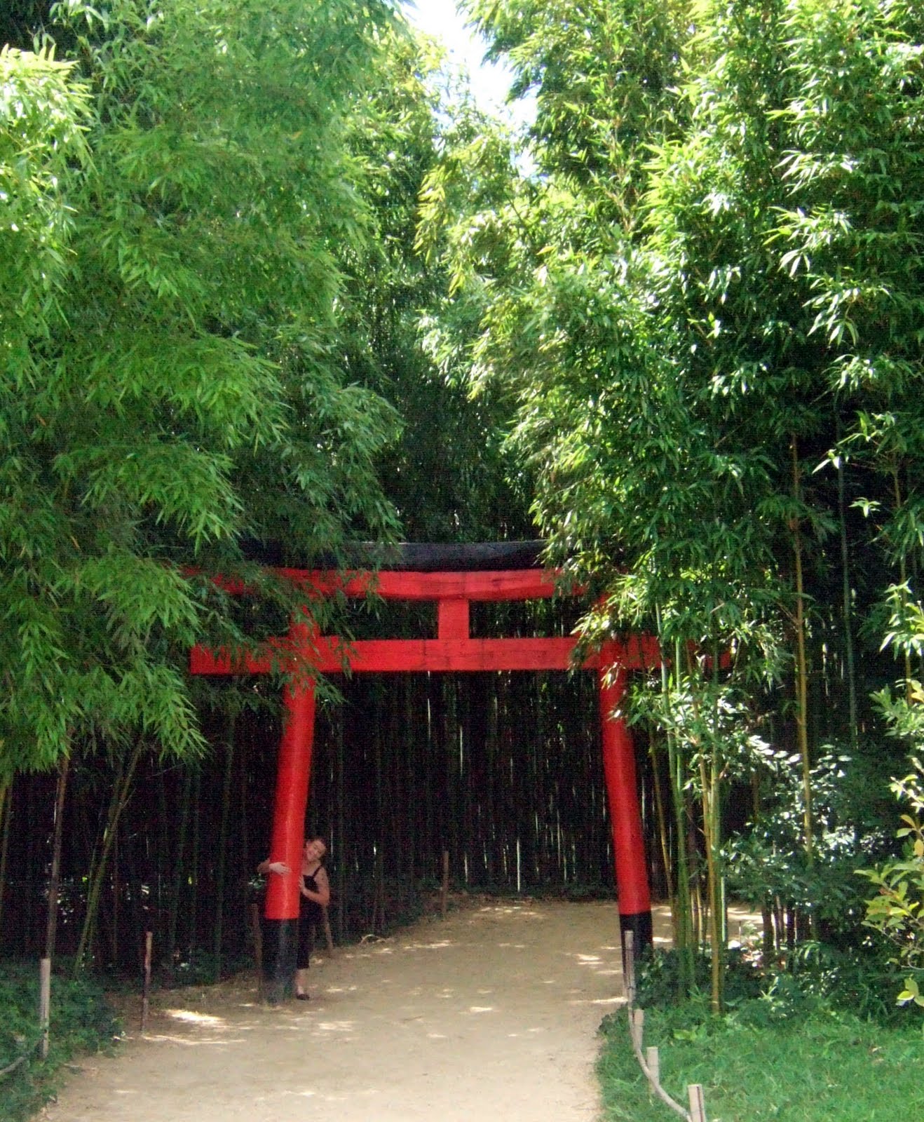 [DSCF0143.JPG]