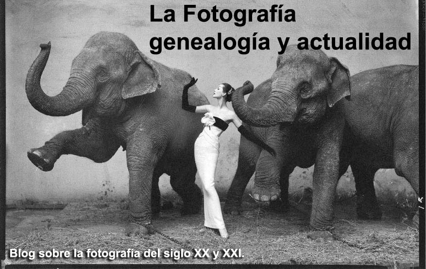 La Fotografía, genealogía y actualidad.