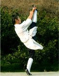 Kungfu