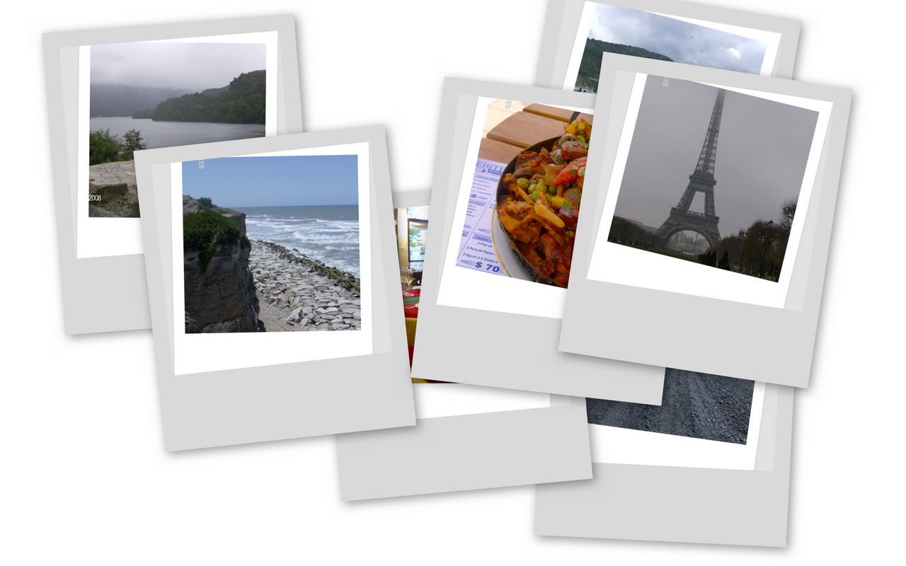 [collage2.jpg]