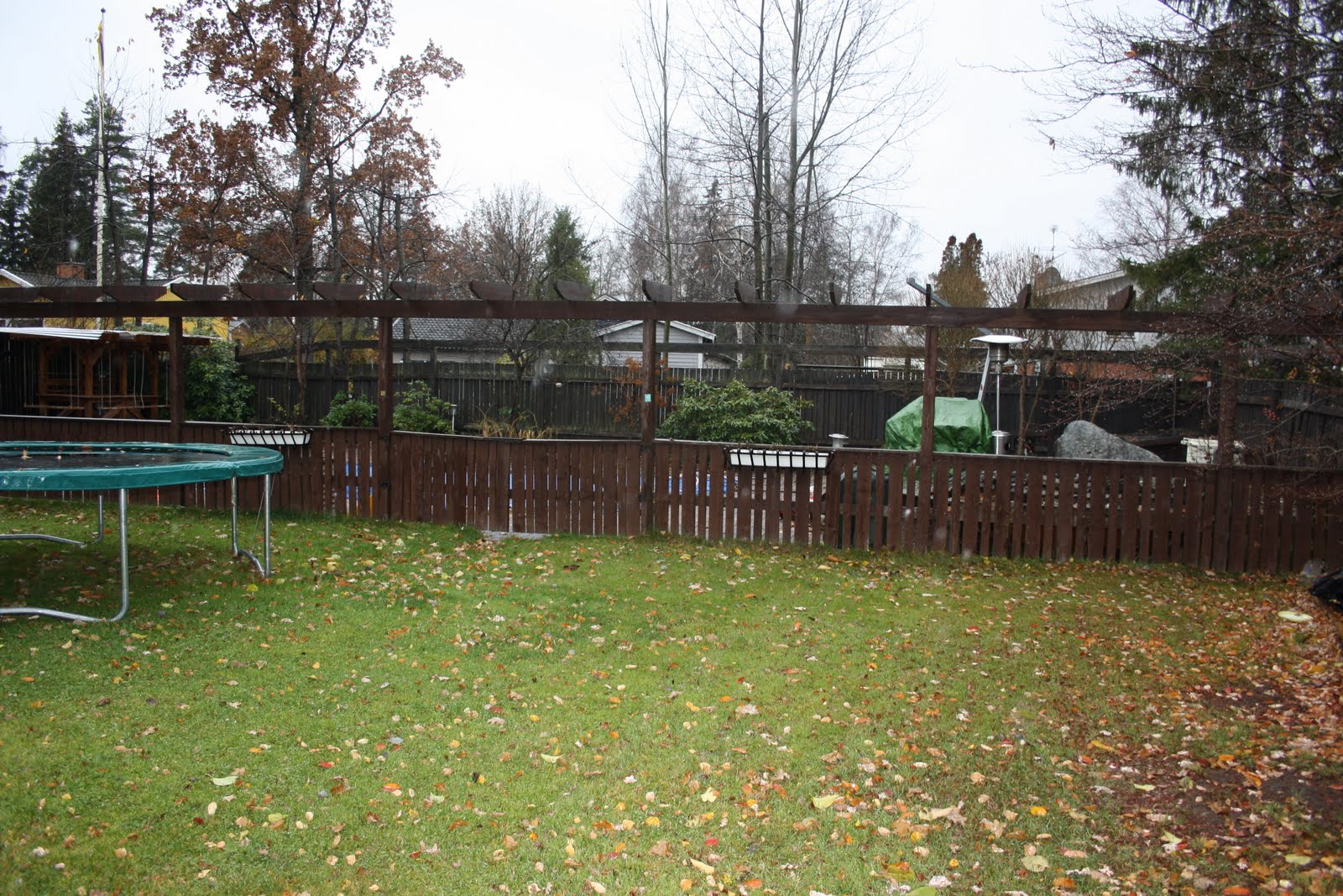 Njut i din trädgård: november 2010