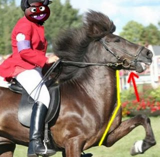 icelandic horse riding