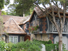 How cute is this home in Carmel?