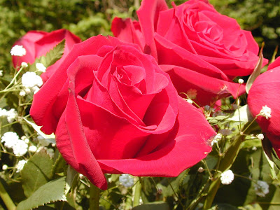 happy birthday mother. Today is my mother, Mdm Yee Lai Hoong's birthday.. So, happy birthday mother