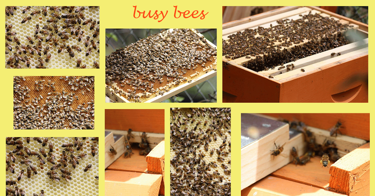 Busy Bees Crafts Sheffield Busy Bees Crafts Sheffield