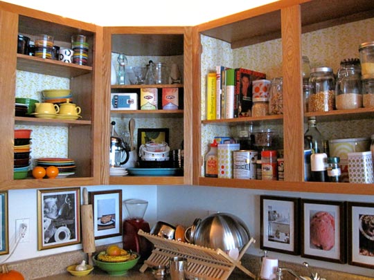 Rental Kitchen Cabinet Ideas Rental Kitchen Cabinet Ideas