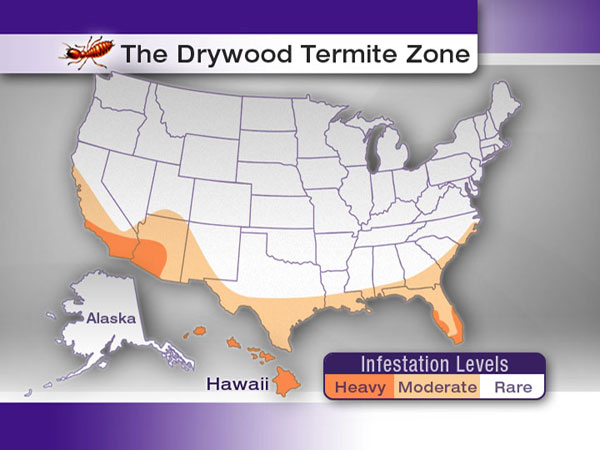 Termite Proof Wood Furniture Termite Proof Wood Furniture