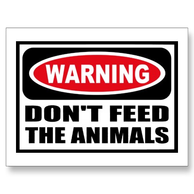 Dont Feed The Animals Wealthy Man Dont Feed The Animals Wealthy Man