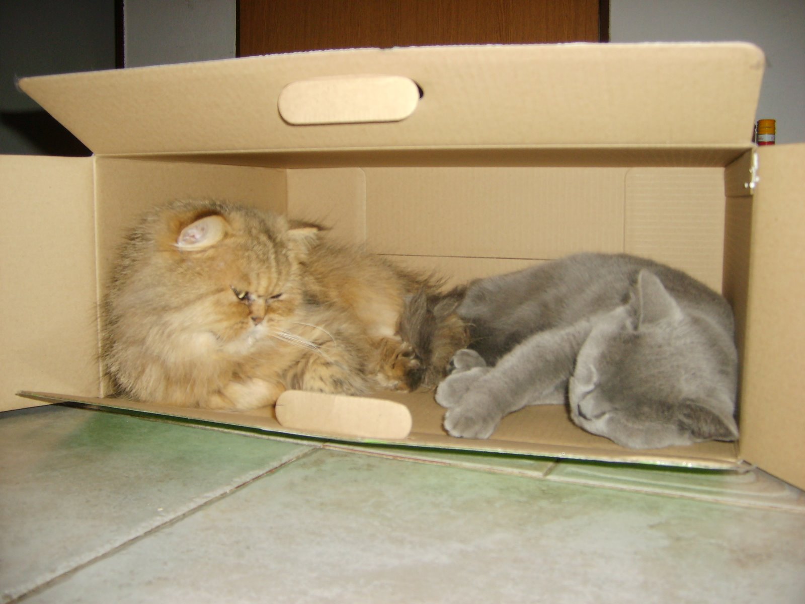 [S6000470.JPG]