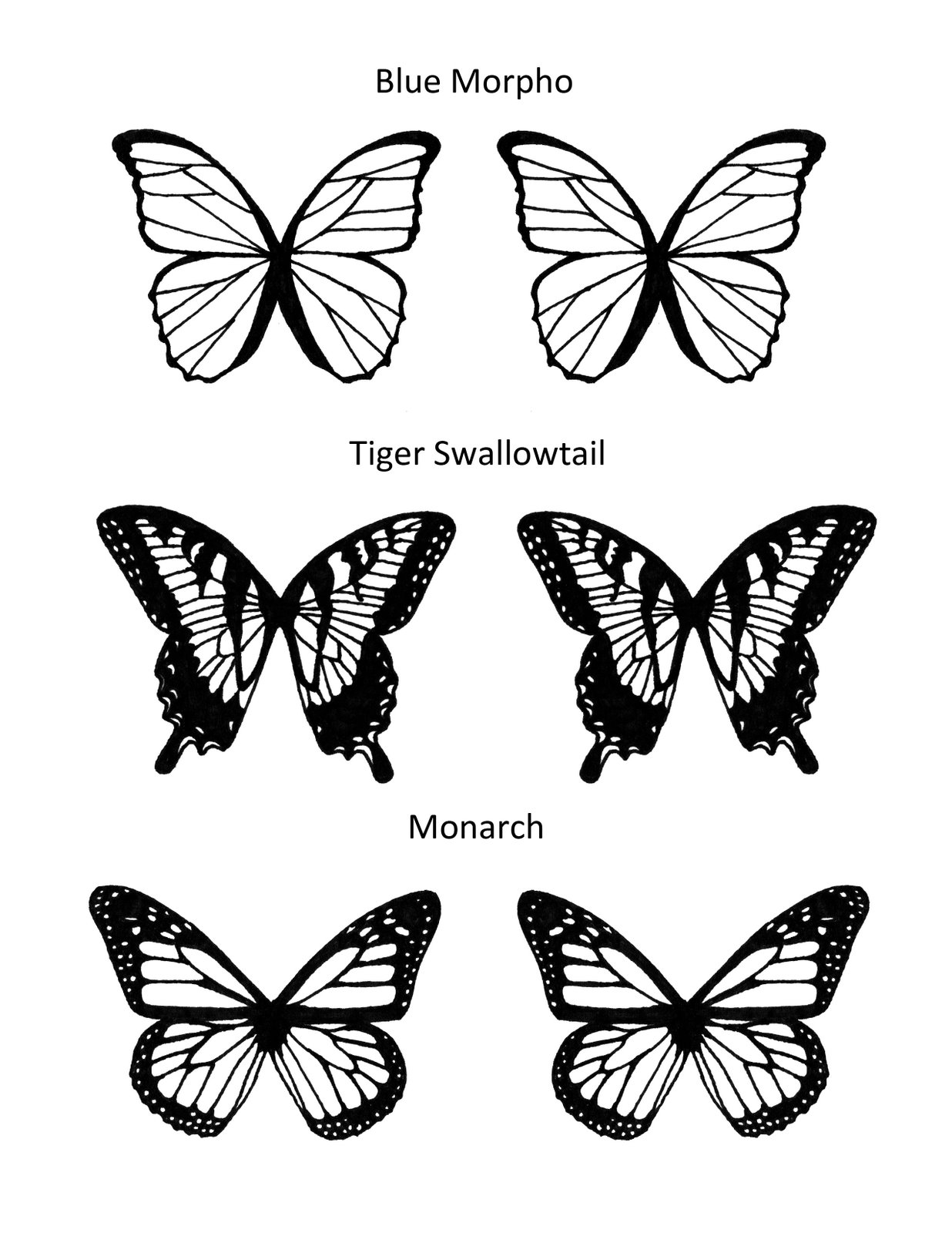 [butterfly_colouring1.jpg]