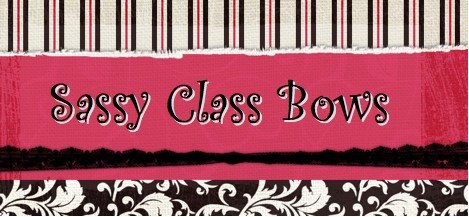 Sassy Class Bows