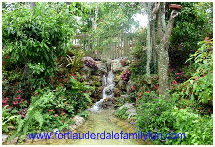 Image Result Forerfly Garden Ft Lauderdale Fl Image Result Forerfly Garden Ft Lauderdale Fl