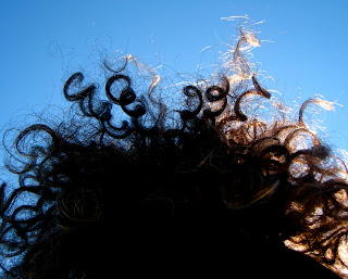 Curly hair. Curly hair.