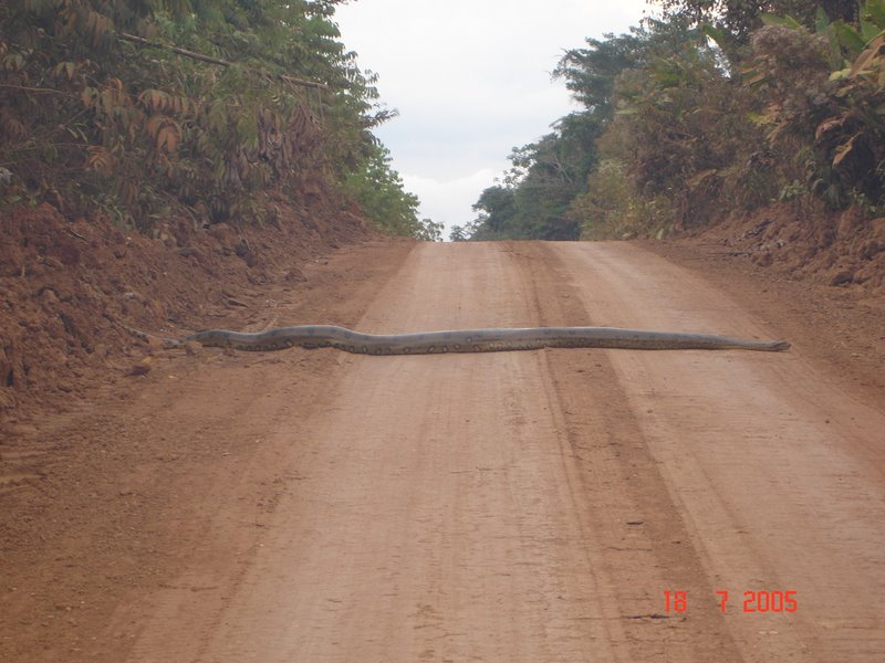 [quebra-molamg.jpg]