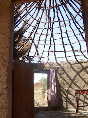 Re-roofing my hut