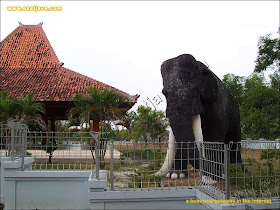 http://4.bp.blogspot.com/_hjNndW75NeY/TQY2PnsLGCI/AAAAAAAAA_o/BWvePThmlMo/s1600/trinil-museum-03.jpg