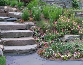 Garden Contemporary of 2014: Rock Garden Design