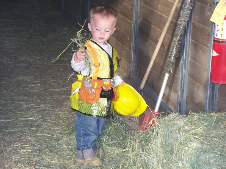 "Huh, I wonder if this is enough to feed the horse?"