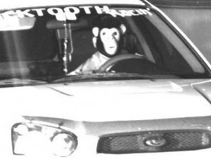 monkey_mask_ticket.jpg