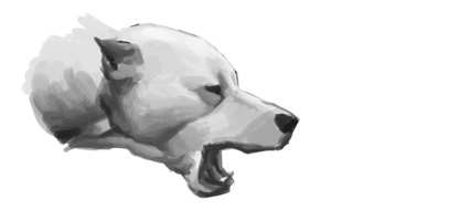 faceofdog.jpg